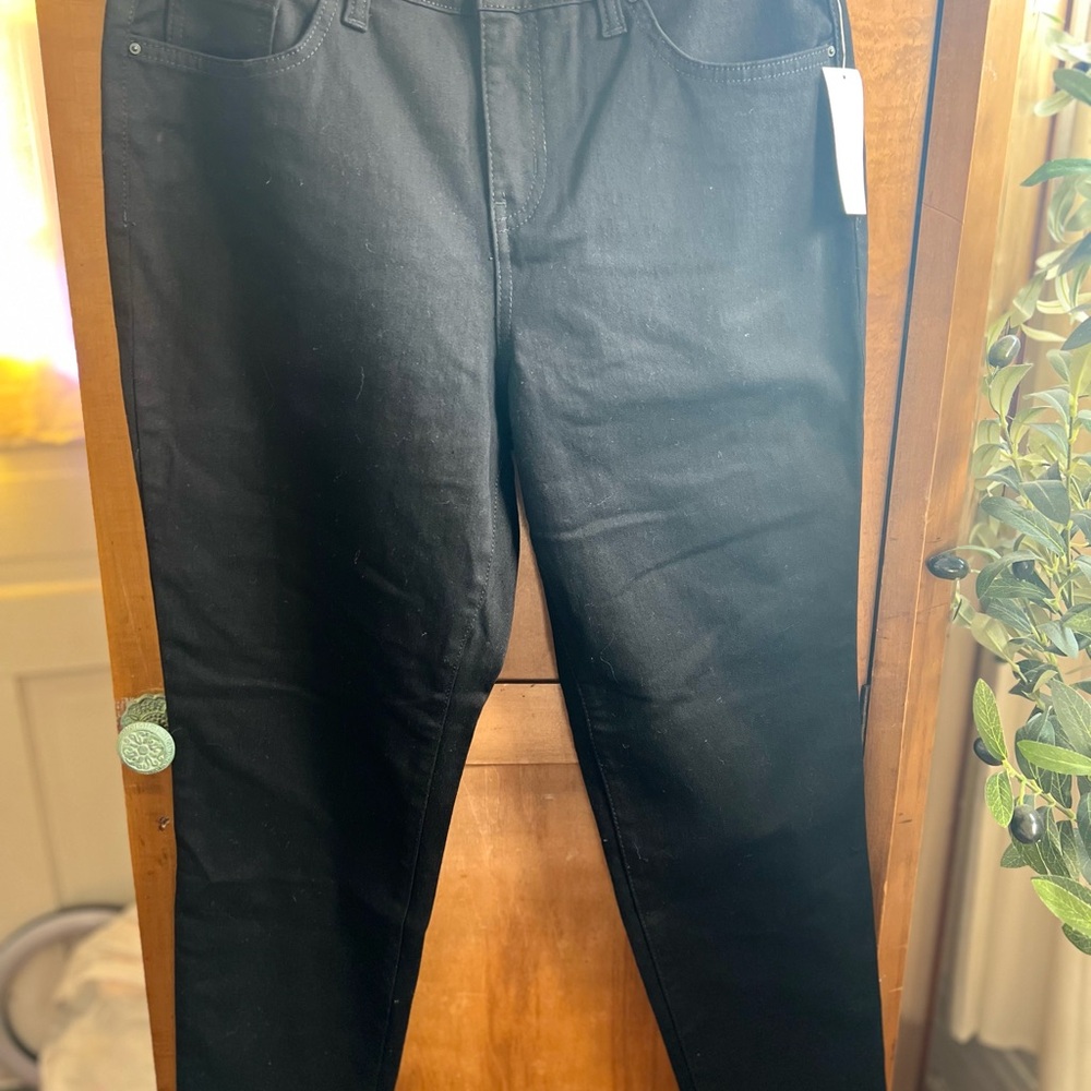 Style & Co. Black Curvy Skinny Jeans